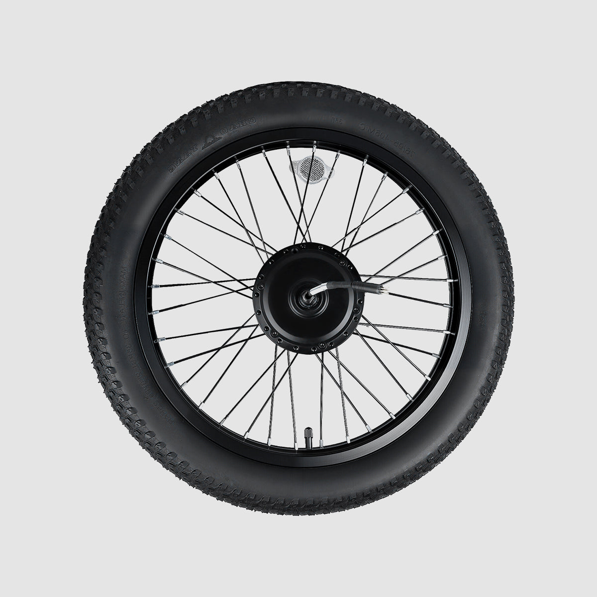 Motorwiel-E20 Pro