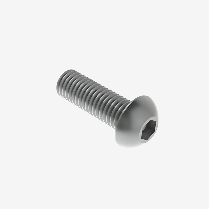 M5x8mm inbusbout met panhead (remschijf)-B20
